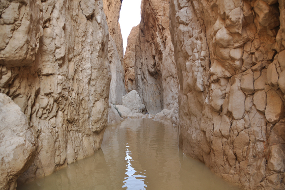 גב ארוך מלא במים לאחר שיטפון בחלק התחתון בנחל אשלים - צפון הערבה