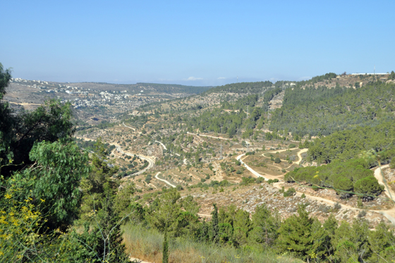 נוף הרי יהודה